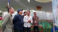 IMG_20241226_170318