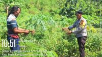 IMG-20250617-WA0021