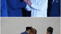 IMG_20251219_060926