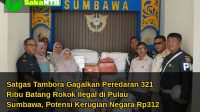 saka_ntb_news