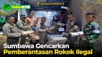 sumbawa_saka_top_left